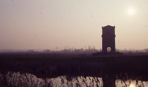 SC_AFRLSER_SER-s5010-0002899_IMG-0000006230