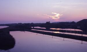 SC_AFRLSER_SER-s5010-0002904_IMG-0000006240