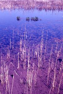 SC_AFRLSER_SER-s5010-0002952_IMG-0000006327