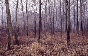 SC_AFRLSER_SER-s5010-0002956_IMG-0000006331