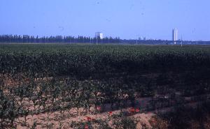 SC_AFRLSER_SER-s5010-0002966_IMG-0000006341