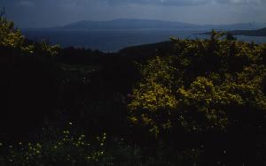 SC_AFRLSER_SER-s5010-0002977_IMG-0000006391