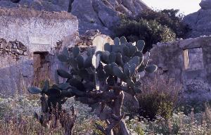 SC_AFRLSER_SER-s5010-0002978_IMG-0000006393