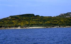 SC_AFRLSER_SER-s5010-0002981_IMG-0000006397