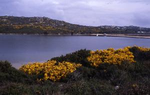 SC_AFRLSER_SER-s5010-0002984_IMG-0000006403