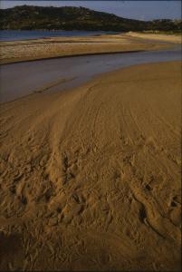 SC_AFRLSER_SER-s5010-0002991_IMG-0000006424