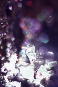 SC_AFRLSER_SER-s5010-0003004_IMG-0000006501
