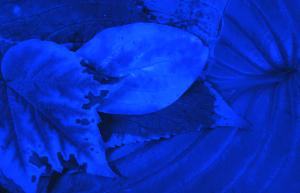 SC_AFRLSER_SER-s5010-0003007_IMG-0000006504