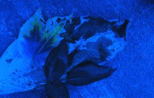SC_AFRLSER_SER-s5010-0003010_IMG-0000006508