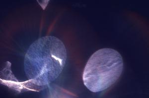 SC_AFRLSER_SER-s5010-0003015_IMG-0000006513