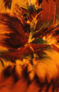 SC_AFRLSER_SER-s5010-0003020_IMG-0000006519