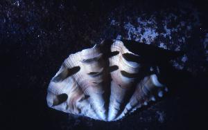 SC_AFRLSER_SER-s5010-0003053_IMG-0000006554