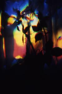 SC_AFRLSER_SER-s5010-0003061_IMG-0000006562