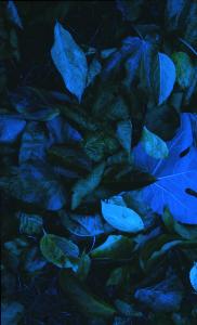 SC_AFRLSER_SER-s5010-0003062_IMG-0000006563