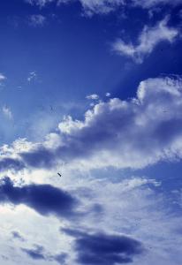 SC_AFRLSER_SER-s5010-0003070_IMG-0000006571