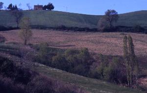 SC_AFRLSER_SER-s5010-0003072_IMG-0000006573