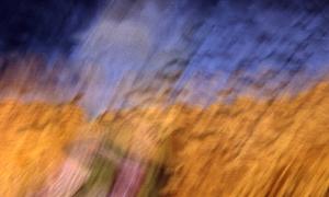 SC_AFRLSER_SER-s5010-0003083_IMG-0000006583