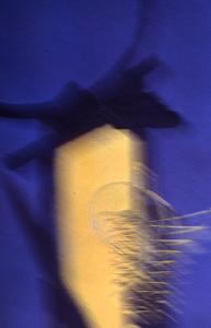 SC_AFRLSER_SER-s5010-0003085_IMG-0000006585