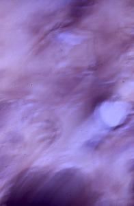 SC_AFRLSER_SER-s5010-0003096_IMG-0000006596