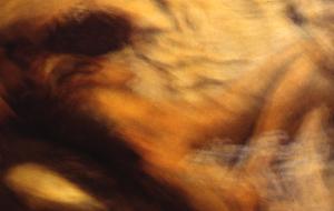 SC_AFRLSER_SER-s5010-0003106_IMG-0000006606