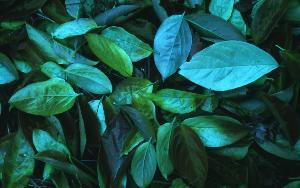 SC_AFRLSER_SER-s5010-0003118_IMG-0000006618