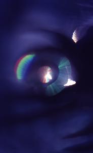 SC_AFRLSER_SER-s5010-0003142_IMG-0000006642