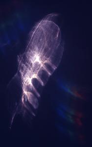 SC_AFRLSER_SER-s5010-0003154_IMG-0000006654