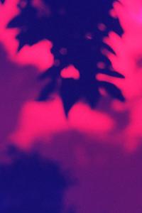 SC_AFRLSER_SER-s5010-0003180_IMG-0000006680