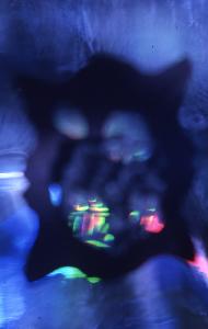 SC_AFRLSER_SER-s5010-0003188_IMG-0000006689