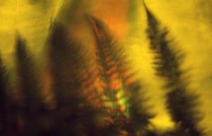 SC_AFRLSER_SER-s5010-0003201_IMG-0000006703