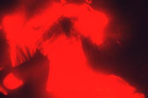 SC_AFRLSER_SER-s5010-0003205_IMG-0000006708