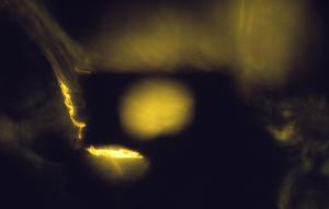 SC_AFRLSER_SER-s5010-0003206_IMG-0000006709