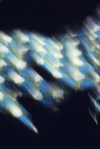 SC_AFRLSER_SER-s5010-0003207_IMG-0000006710