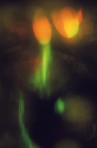 SC_AFRLSER_SER-s5010-0003208_IMG-0000006712