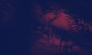 SC_AFRLSER_SER-s5010-0003210_IMG-0000006714
