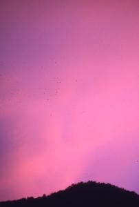 SC_AFRLSER_SER-s5010-0003223_IMG-0000006727