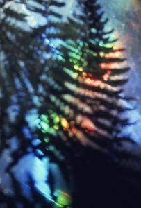 SC_AFRLSER_SER-s5010-0003235_IMG-0000006739
