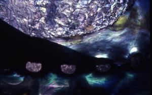 SC_AFRLSER_SER-s5010-0003295_IMG-0000006801