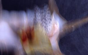 SC_AFRLSER_SER-s5010-0003296_IMG-0000006802