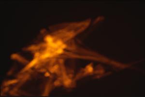 SC_AFRLSER_SER-s5010-0003308_IMG-0000006814