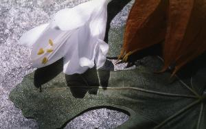 SC_AFRLSER_SER-s5010-0003333_IMG-0000006840