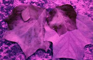 SC_AFRLSER_SER-s5010-0003343_IMG-0000006850