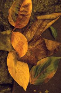 SC_AFRLSER_SER-s5010-0003346_IMG-0000006853