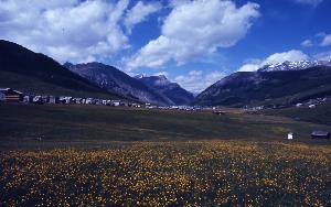 SC_AFRLSER_SER-s5010-0003352_IMG-0000006860