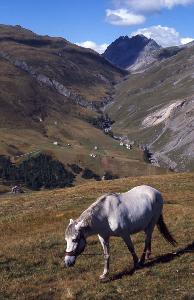 SC_AFRLSER_SER-s5010-0003368_IMG-0000006875