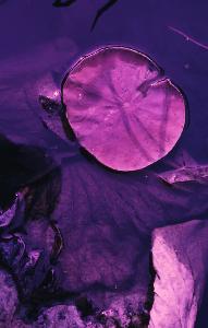 SC_AFRLSER_SER-s5010-0003395_IMG-0000006902