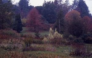 SC_AFRLSER_SER-s5010-0003401_IMG-0000006908
