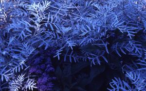 SC_AFRLSER_SER-s5010-0003403_IMG-0000006910