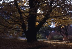 SC_AFRLSER_SER-s5010-0003407_IMG-0000006914