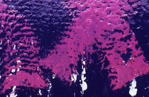 SC_AFRLSER_SER-s5010-0003418_IMG-0000006925